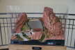 Diorama